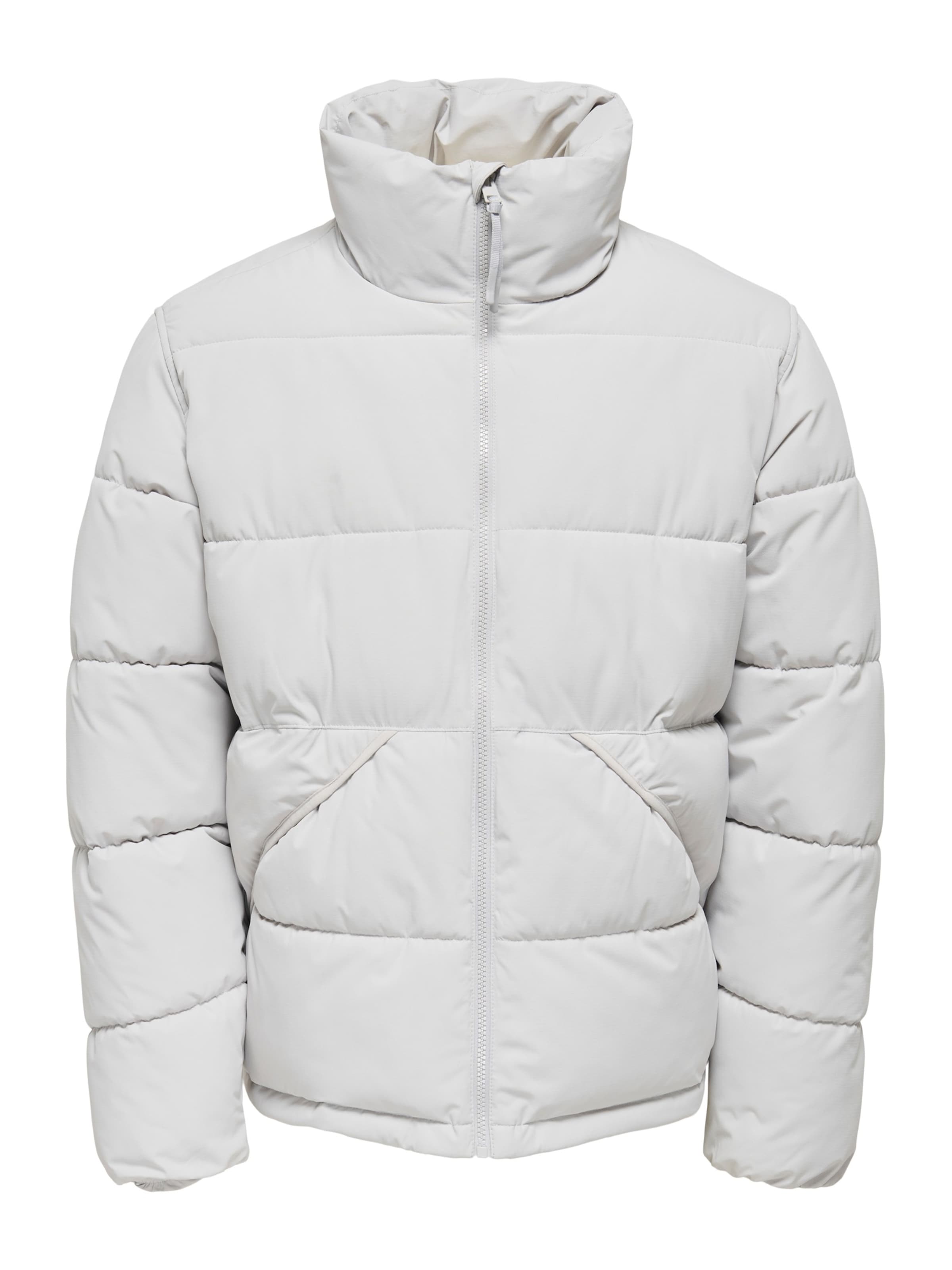 Only & Sons Winter jacket 'ONSPack' in Grey: front