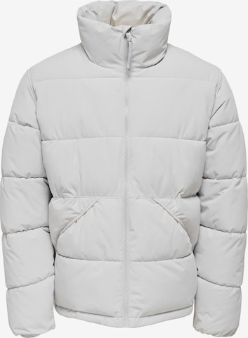Only & Sons Зимняя куртка 'ONSPack' в Серый: спереди