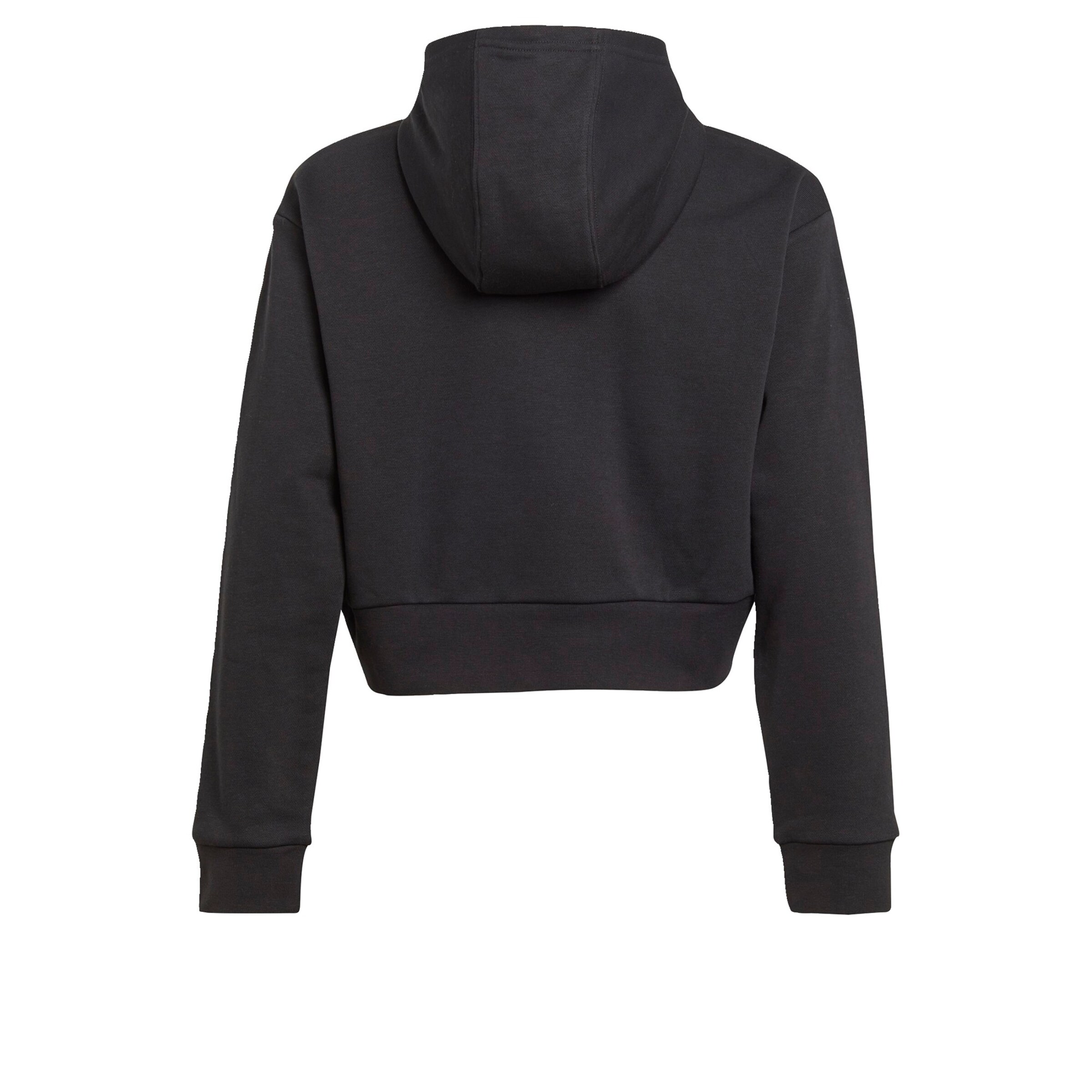 ADIDAS ORIGINALS Mikina 'Adicolor' – černá