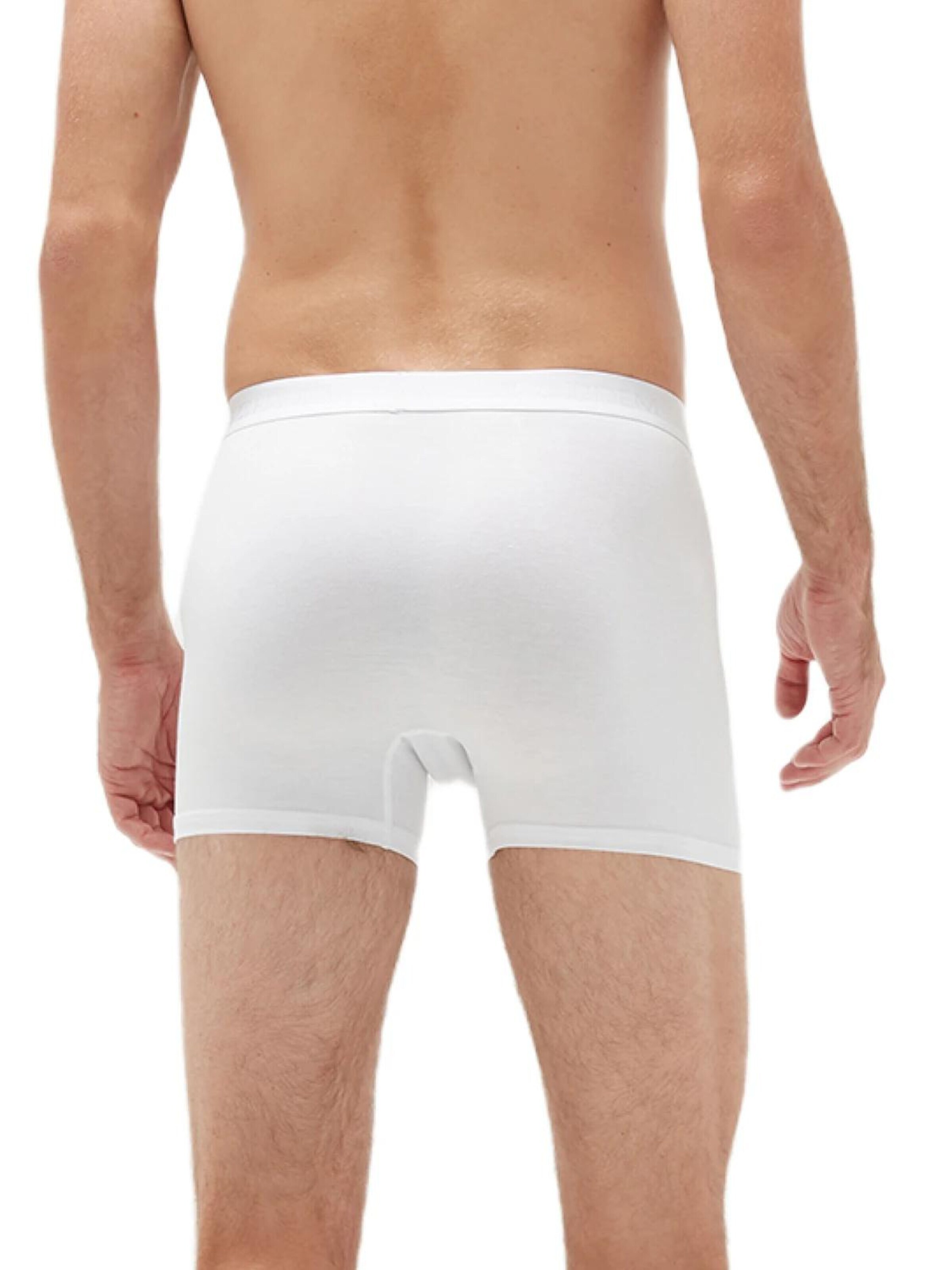 Erdem Board shorts in White