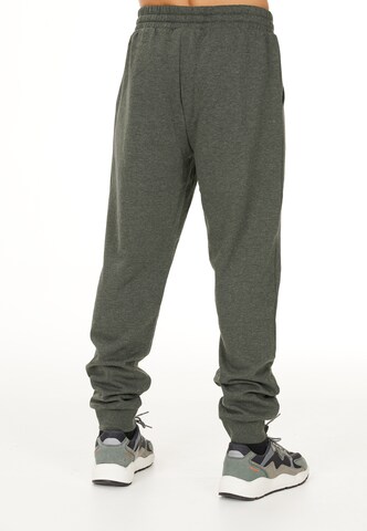 Cruz Tapered Trousers 'Regent' in Green