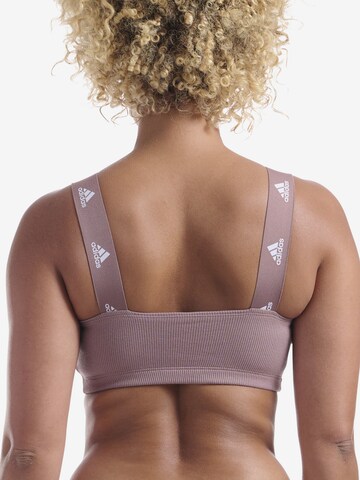 ADIDAS ORIGINALS Bustier BH ' Real Cool Cotton ' in Bruin