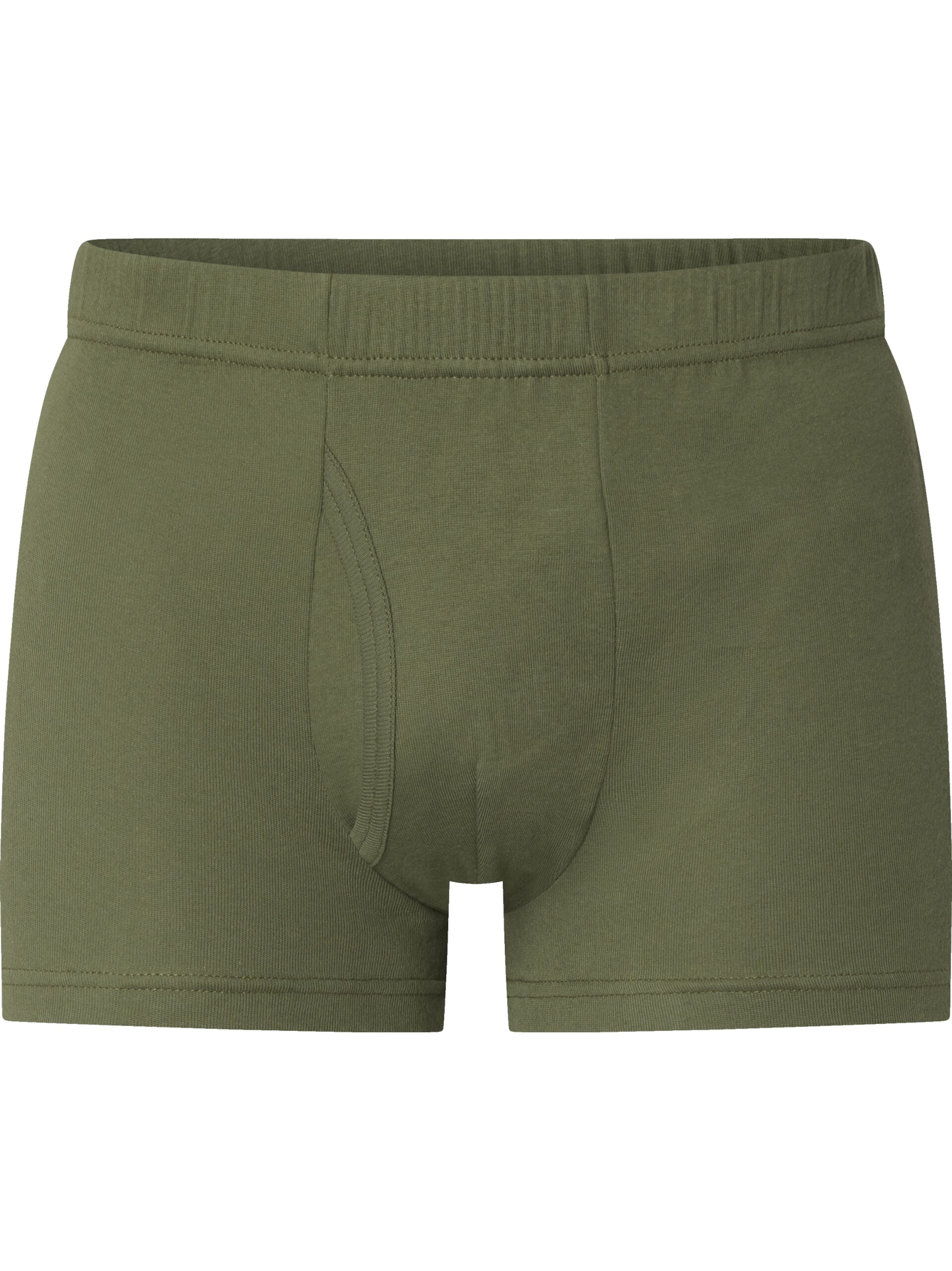 Jan Vanderstorm Boxershorts 'Gardar' in Grün