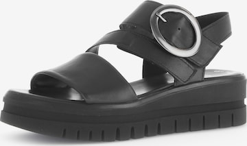GABOR Sandals in Black: front