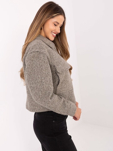 Sublevel Зимняя куртка в Серый