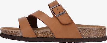 Cruz Sandals 'Barhil' in Brown