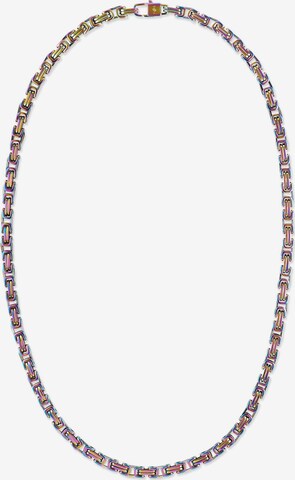 FAVS Necklace in Mixed colors: front