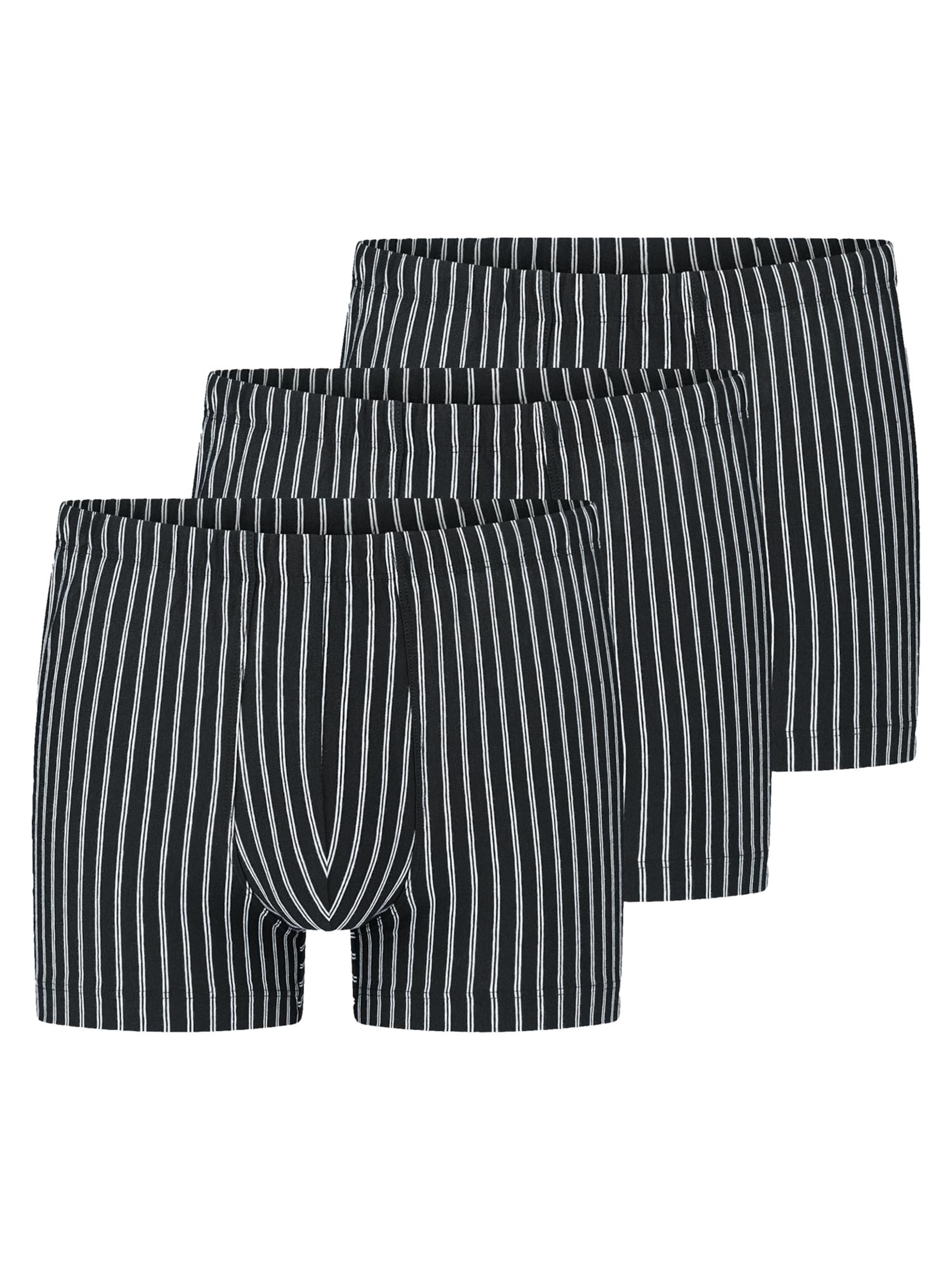 SCHIESSER Boxer shorts '95/5 Essentials Cotton' in Black: front