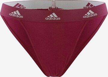 ADIDAS SPORTSWEAR Athletic Underwear in Red