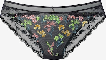 juoda LASCANA Moteriškos kelnaitės: priekis