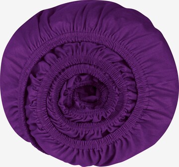SCHIESSER Bed Sheet 'Jessi' in Purple: front