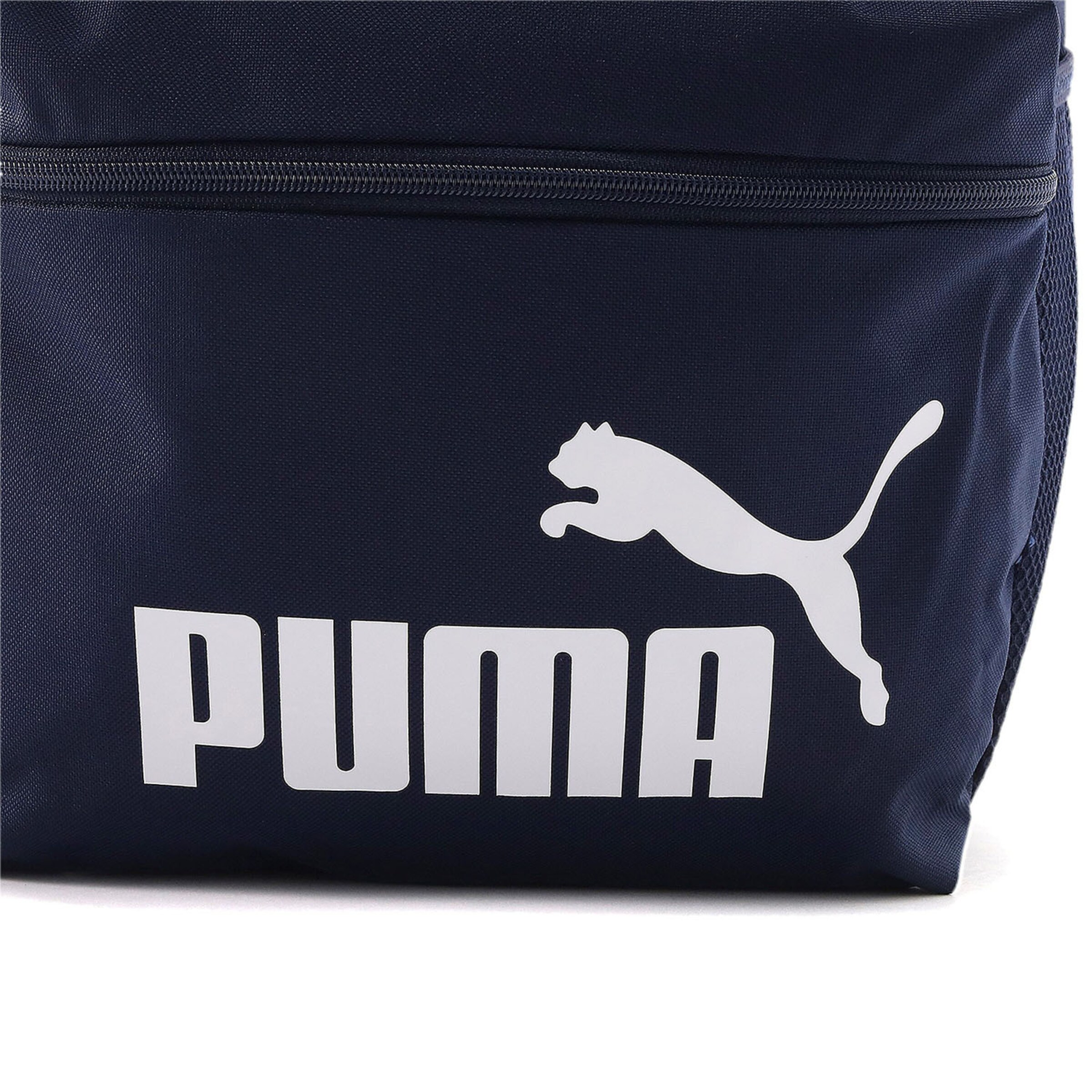 PUMA Sports Backpack 'Phase' in Blue