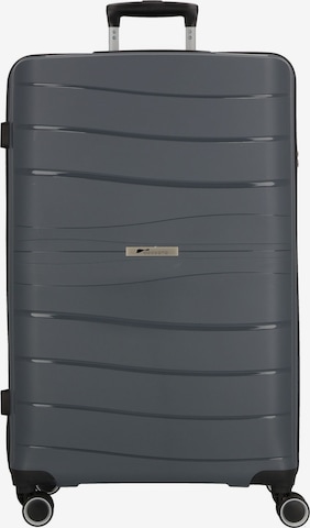 Trolley 'Leon' di cocoono in grigio: frontale