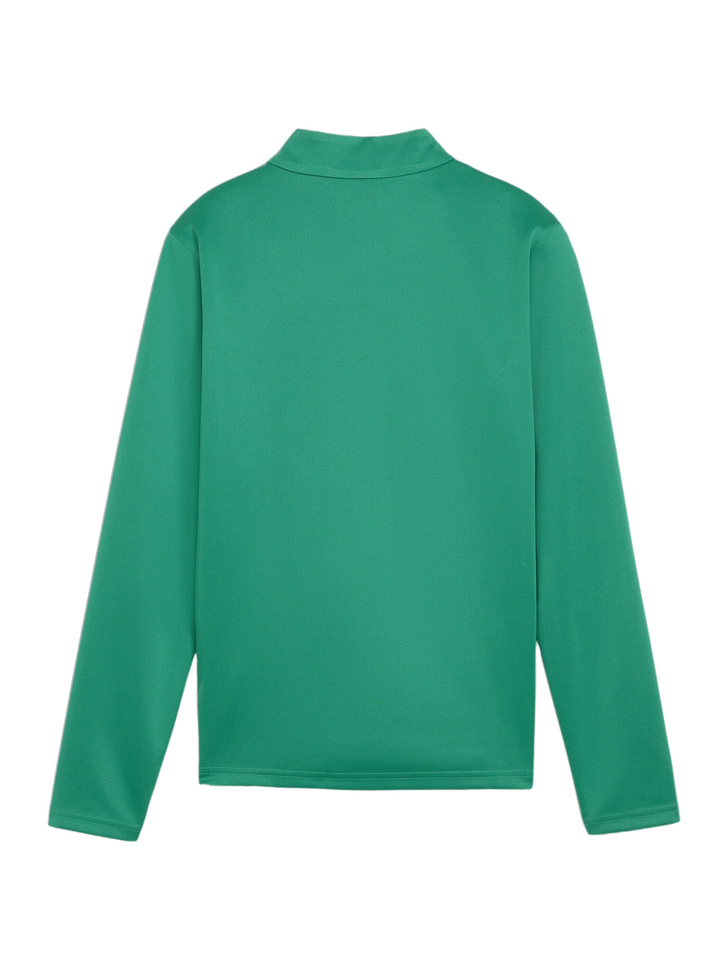 PUMA Funktionsshirt 'TeamGoal' in Grün