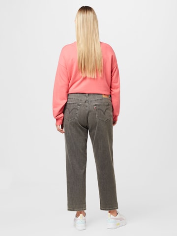 Levi's® Plus Slimfit Jeans in Grau