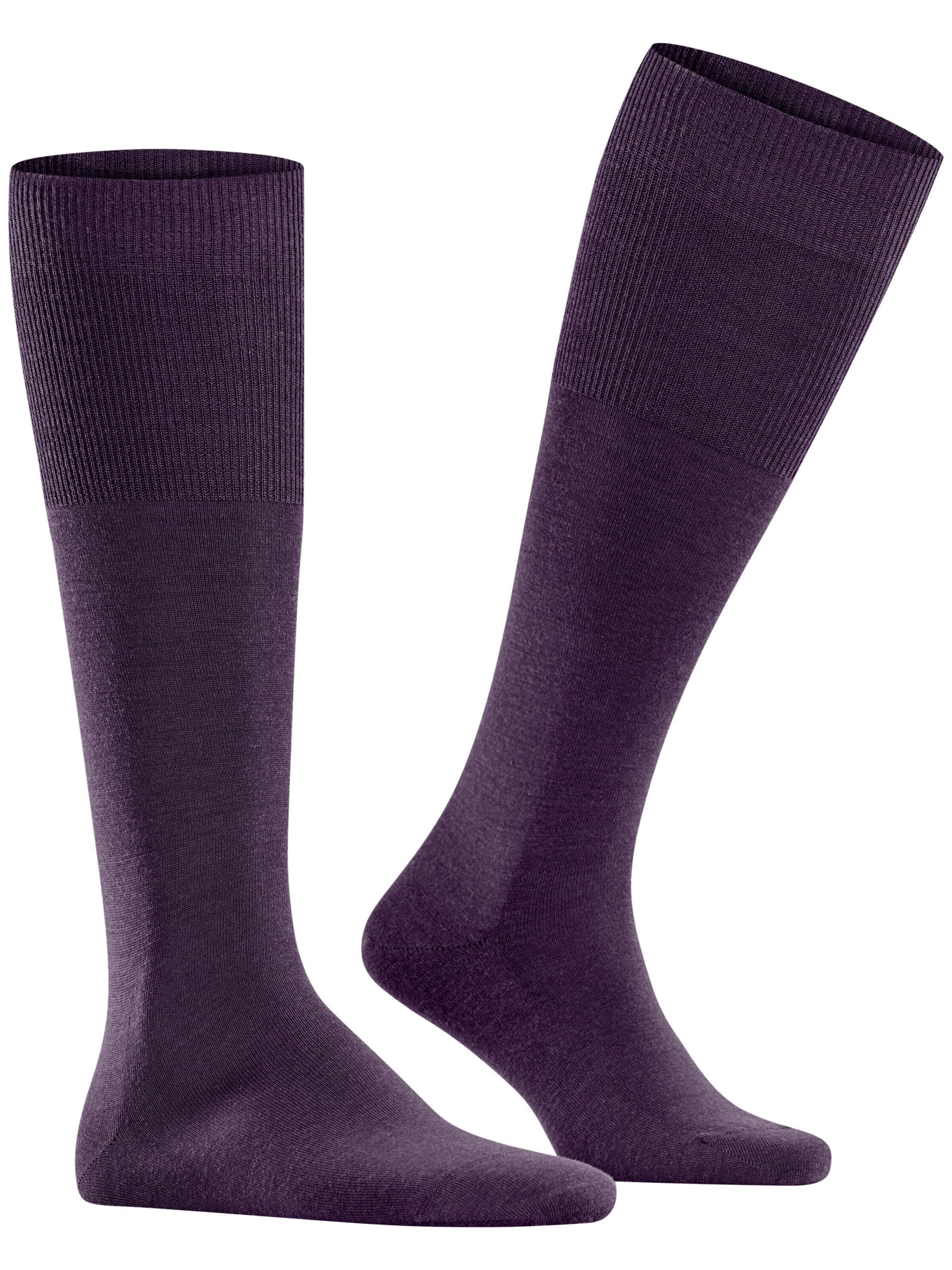 FALKE Knee High Socks 'Airport' in Purple: front