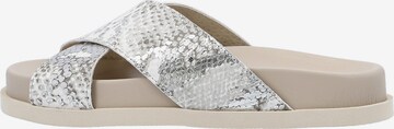 RIA Mules in Silver: front