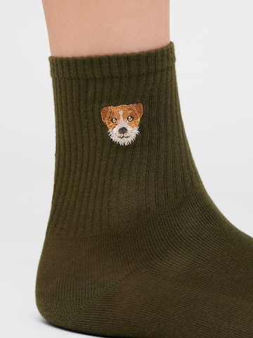 CALZEDONIA Socks in Green