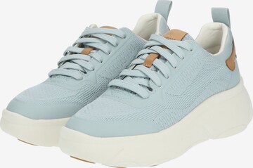 Sneaker bassa di GEOX in blu