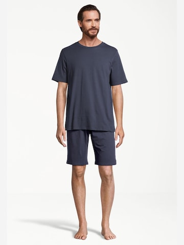 SCHIESSER Pyjama kurz 'Night & Home' in Blau: Vorderseite