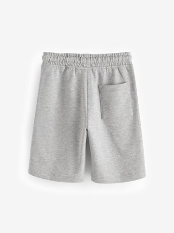 Next Regular Pants in Blue