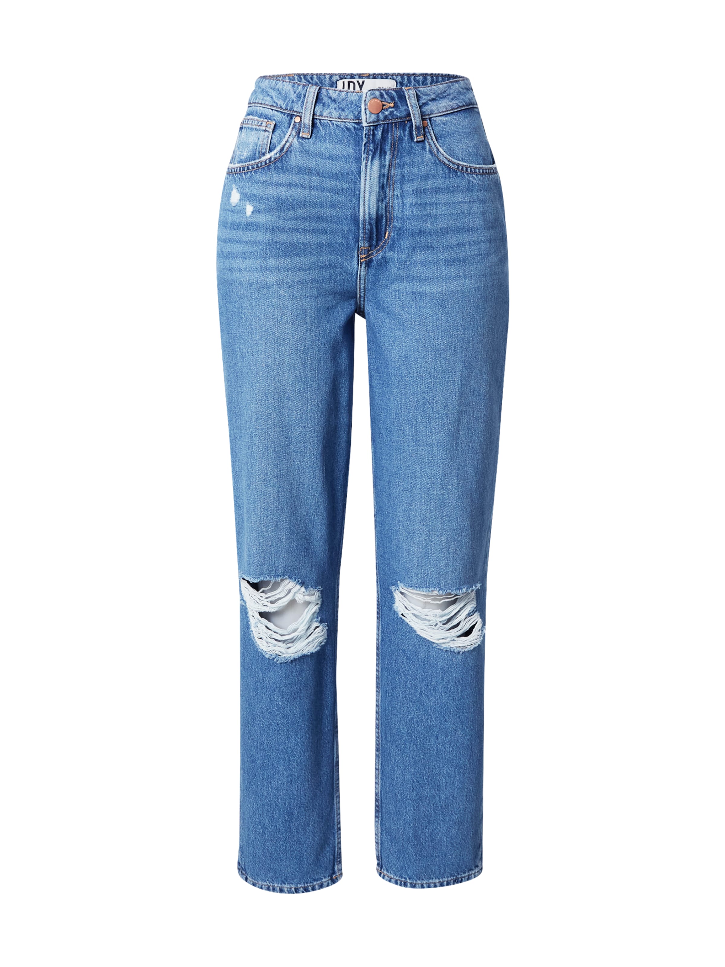 JDY Regular Jeans 'Bine' in Blue: front