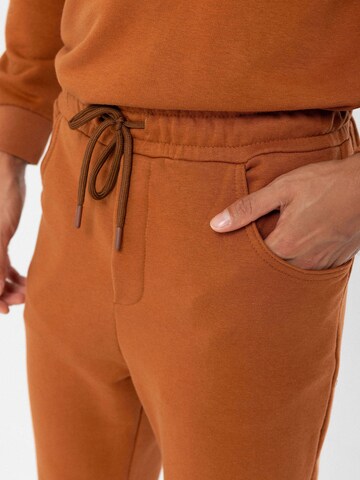 Antioch Regular Trousers in Brown
