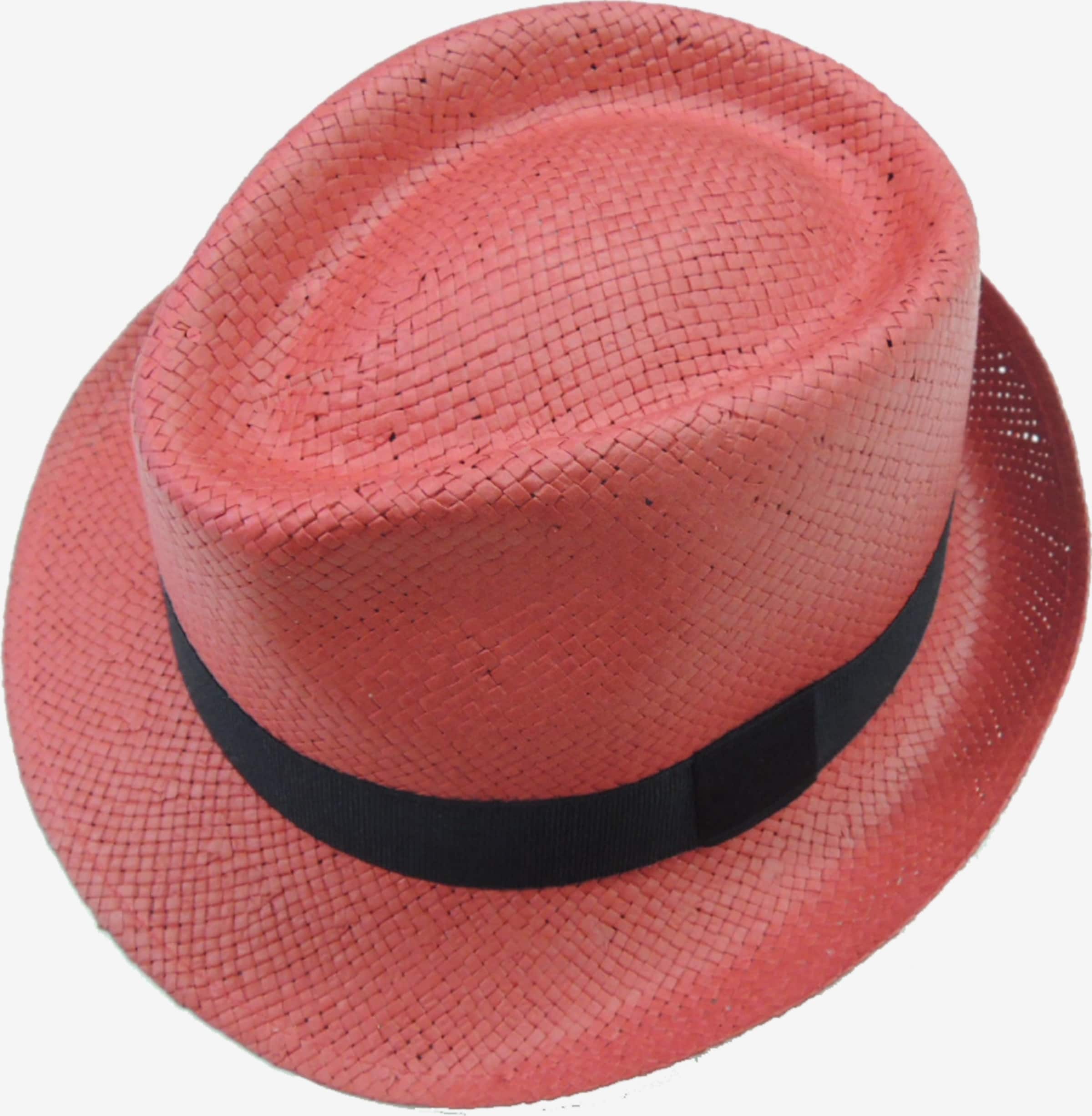 Chaplino Stroh-Trilby in Rot | ABOUT YOU | Trilbies