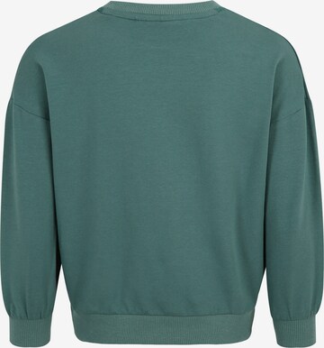 FILA Sweatshirt 'TIMMENDORF' i grön