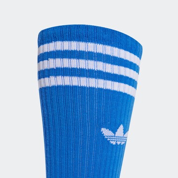 Calzino di ADIDAS ORIGINALS in blu