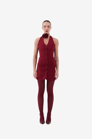 HOLLY LOLLY Blousejurk in Rood: voorkant