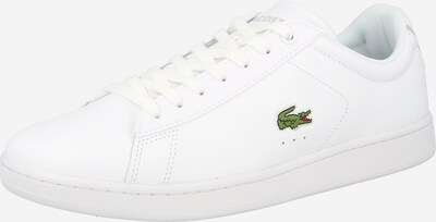 LACOSTE Baskets basses 'CARNABY' en blanc, Vue avec produit