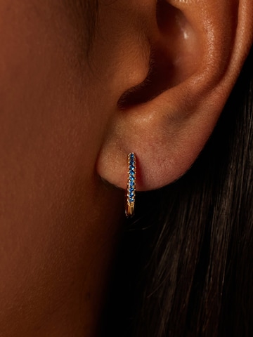 Boucles d'oreilles Lucardi en or : devant