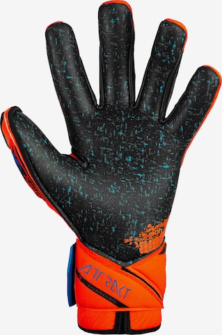 REUSCH Torwarthandschuhe 'Attrakt Fusion Guardian' in Blau