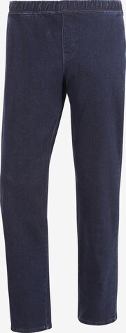 Jan Vanderstorm Regular Jeans 'Raivo' in Blauw: voorkant