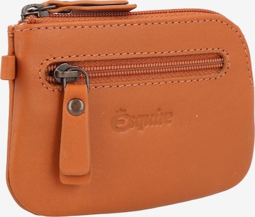 Esquire Case 'Peru' in Brown