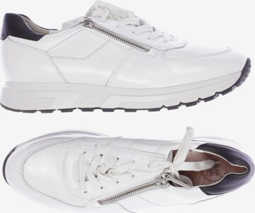 Paul Green Sneakers & Trainers in 41 in White: front