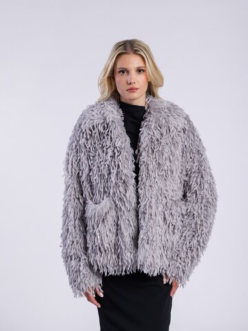 Giacca di mezza stagione di FREAKY NATION in grigio: frontale