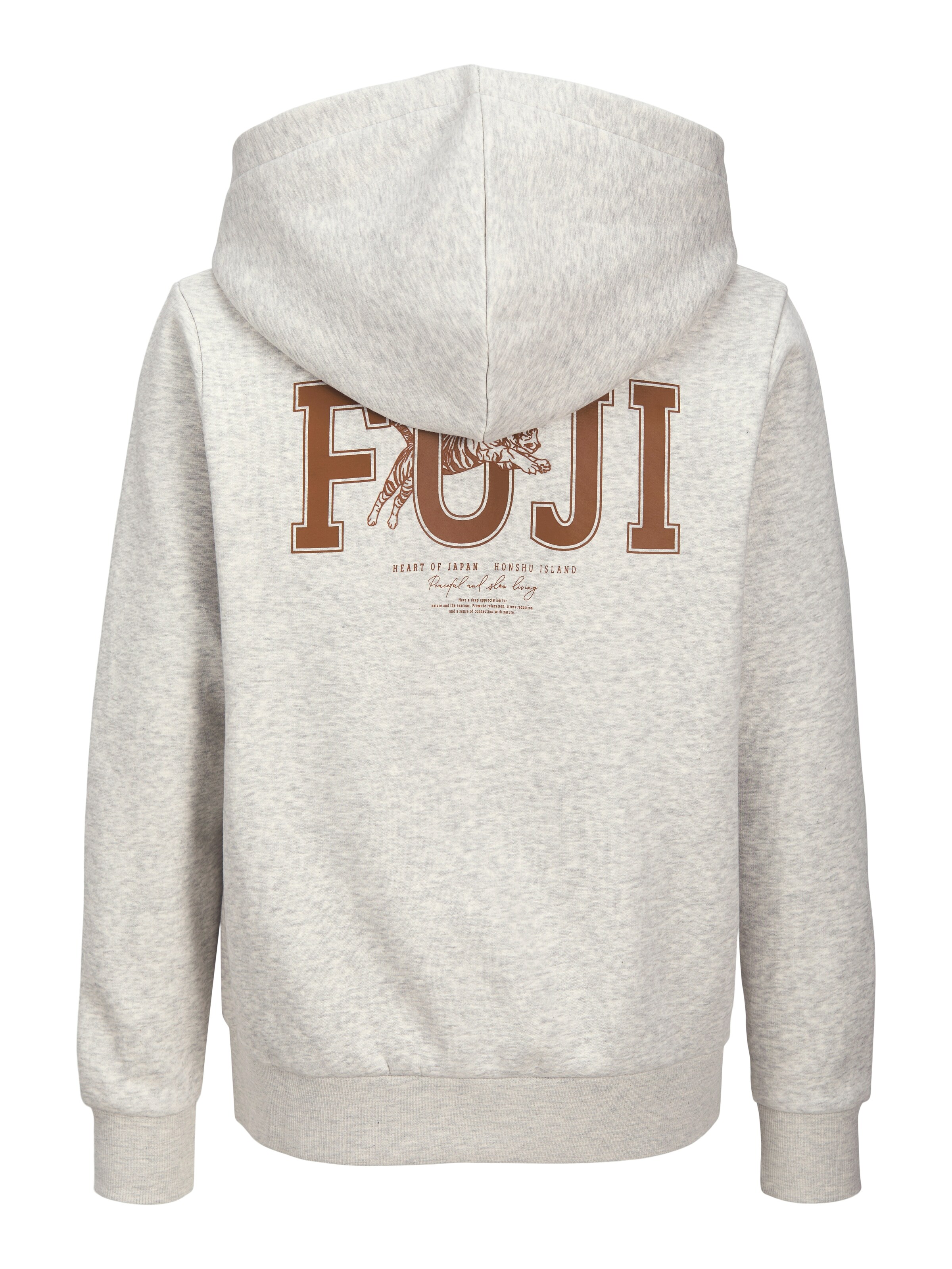Jack & Jones Junior Sweatshirt in Grau