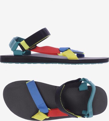 TEVA Sandals & Slippers in 48,5 in Mixed colors: front