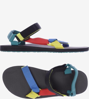 TEVA Sandalen 48,5 in Mischfarben: predná strana