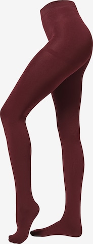 CALZEDONIA Tights 'THERMO' in Red: front