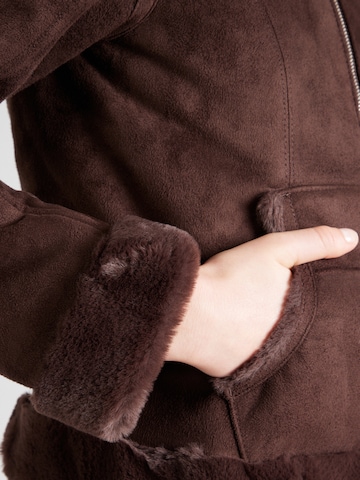 ruda HOLLISTER Demisezoninė striukė