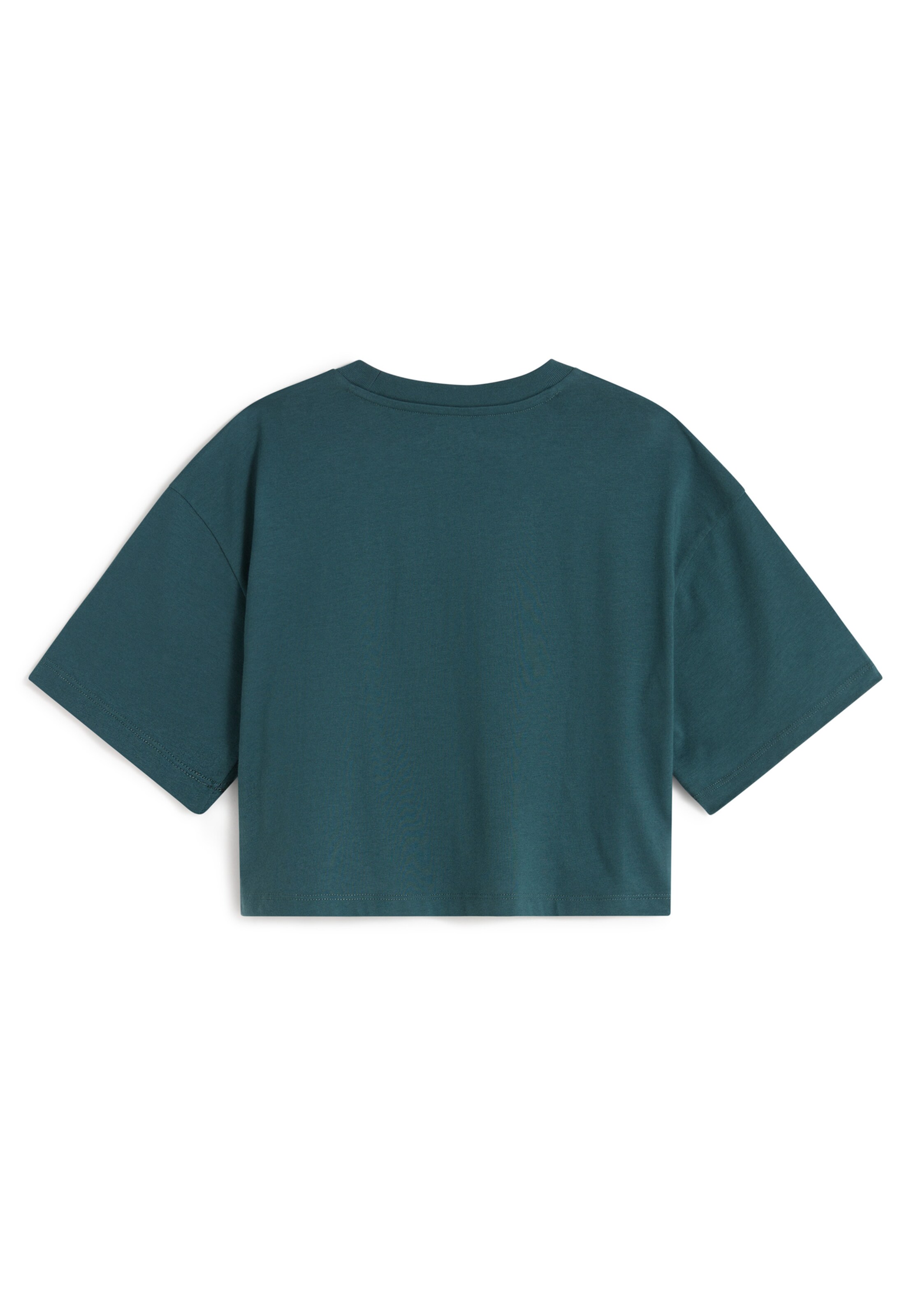 VANS T-shirt 'Ellipse' i grön