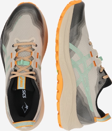 ASICS Running Shoes 'Gel-Trabuco 12' in Grey