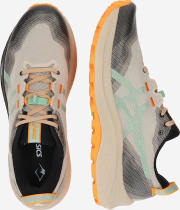 Chaussure de course 'Gel-Trabuco 12' ASICS en gris