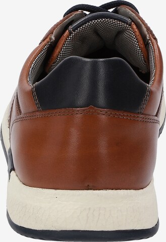 SIOUX Sneaker 'Rojaro' in Braun