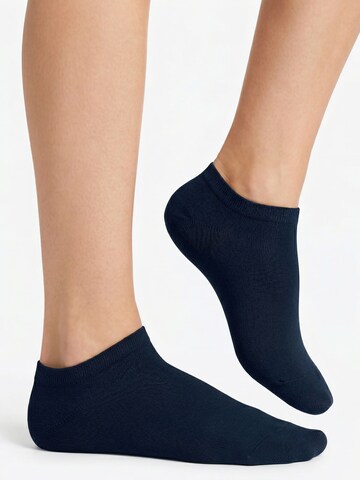footstar Ankle Socks 'EVERYDAY!' in Blue