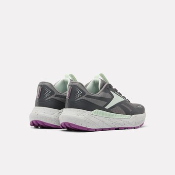 Reebok Sneaker in Grün