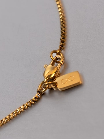 Eternal Necklace 'Halskette Box' in Gold